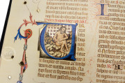 Breviary of Martin of Aragon, Paris, Bibliothèque nationale de France, MS Rothschild 2529 − Photo 21