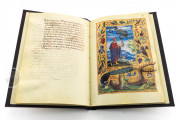 Splendor Solis. Treaty of Alchemy, Paris, Bibliothèque nationale de France, Ms. All. 113 − Photo 9