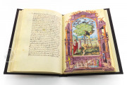 Splendor Solis. Treaty of Alchemy, Paris, Bibliothèque nationale de France, Ms. All. 113 − Photo 23
