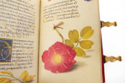 Prayer Book of Elector Maximilian I of Bavaria, Munich, Bayerische Staatsbibliothek, Clm 23640 − Photo 3
