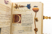 Prayer Book of Elector Maximilian I of Bavaria, Munich, Bayerische Staatsbibliothek, Clm 23640 − Photo 7