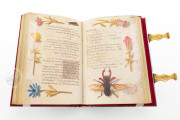 Prayer Book of Elector Maximilian I of Bavaria, Munich, Bayerische Staatsbibliothek, Clm 23640 − Photo 8