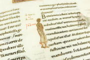 Codex Aureus of Echternach, Nuremberg, Germanisches Nationalmuseum, Hs. 156142 − Photo 8