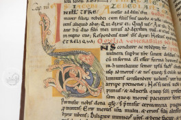 Codex Calixtinus de la Catedral de Santiago de Compostela, Santiago de Compostela, Archivo de la Catedral de Santiago de Compostela − Photo 16