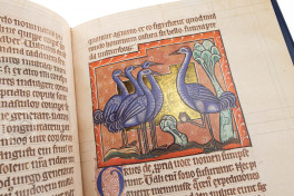 Book of Beasts: a Facsimile of MS Bodley 764 , Oxford, Bodleian Library, Ms Bodley 764, Facsimile edition by Bodleian Library