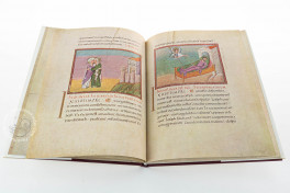 Codex Egberti: Teilfaksimile-Ausgabe des Ms. 24 der Stadtbibliot, Trier, Stadtbibliothek Weberbach, Ms. 24, Facsimile edition by Reichert Verlag