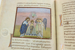 Codex Egberti: Teilfaksimile-Ausgabe des Ms. 24 der Stadtbibliot, Trier, Stadtbibliothek Weberbach, Ms. 24, Facsimile edition by Reichert Verlag