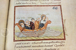 Codex Egberti: Teilfaksimile-Ausgabe des Ms. 24 der Stadtbibliot, Trier, Stadtbibliothek Weberbach, Ms. 24, Facsimile edition by Reichert Verlag
