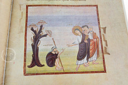 Codex Egberti: Teilfaksimile-Ausgabe des Ms. 24 der Stadtbibliot, Trier, Stadtbibliothek Weberbach, Ms. 24, Facsimile edition by Reichert Verlag