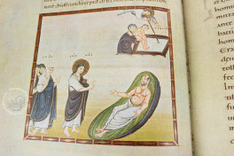 Codex Egberti: Teilfaksimile-Ausgabe des Ms. 24 der Stadtbibliot, Trier, Stadtbibliothek Weberbach, Ms. 24, Facsimile edition by Reichert Verlag