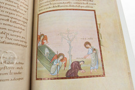 Codex Egberti: Teilfaksimile-Ausgabe des Ms. 24 der Stadtbibliot, Trier, Stadtbibliothek Weberbach, Ms. 24, Facsimile edition by Reichert Verlag