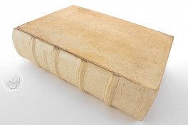 Codex Manesse, Heidelberg, Universitätsbibliothek Heidelberg, Cod. Pal. germ. 848 − Photo 1