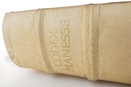 Codex Manesse, Heidelberg, Universitätsbibliothek Heidelberg, Cod. Pal. germ. 848 − Photo 6