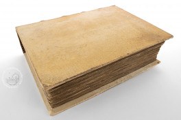 Codex Manesse, Heidelberg, Universitätsbibliothek Heidelberg, Cod. Pal. germ. 848 − Photo 7