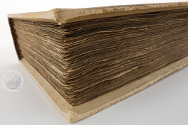 Codex Manesse, Heidelberg, Universitätsbibliothek Heidelberg, Cod. Pal. germ. 848 − Photo 8