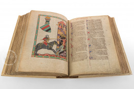 Codex Manesse, Heidelberg, Universitätsbibliothek Heidelberg, Cod. Pal. germ. 848 − Photo 14