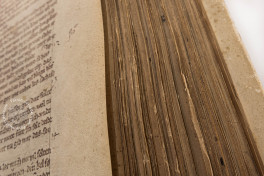 Codex Manesse, Heidelberg, Universitätsbibliothek Heidelberg, Cod. Pal. germ. 848 − Photo 15