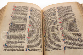 Codex Manesse, Heidelberg, Universitätsbibliothek Heidelberg, Cod. Pal. germ. 848 − Photo 17
