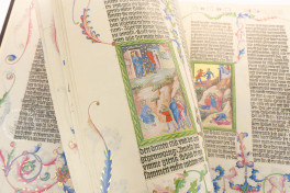Die Wenzelsbibel: Samuel II und Könige I (Volume 5), Vienna, Österreichische Nationalbibliothek, Codex Ser. nov. 2759-2764, Die Wenzelsbibel: Samuel II und Könige I (Volume 5)