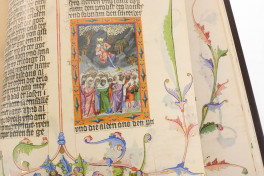 Die Wenzelsbibel: Könige II und Chronik I (Volume 6), Vienna, Österreichische Nationalbibliothek, Codex Ser. nov. 2759-2764, Die Wenzelsbibel: Könige II und Chronik I (Volume 6)