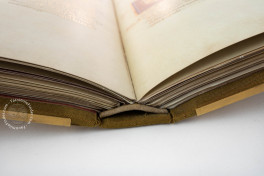 Das Goldene Evangelienbuch von Echternach (Standard Edition), Nuremberg, Germanisches Nationalmuseum, Hs. 156142, Das Goldene Evangelienbuch von Echternach (Standard Edition) by Mueller & Schindler.