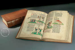 Die Vorauer Volksbibel (Special Edition in 1 Volume), Codex 273 - Stift Vorau (Austria), Die Vorauer Volksbibel (Special Edition in 1 Volume) deluxe edition by Adeva.