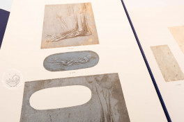 Leonardo da Vinci. Corpus of the anatomical studies in the colle, http://facsi.ms/nasx1 − Photo 5