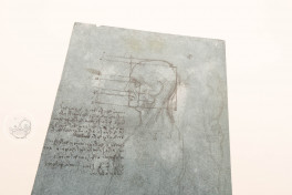 Leonardo da Vinci. Corpus of the anatomical studies in the colle, http://facsi.ms/nasx1 − Photo 6