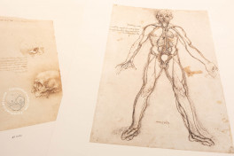 Leonardo da Vinci. Corpus of the anatomical studies in the colle, http://facsi.ms/nasx1 − Photo 7