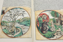 Hartmann Schedel: Liber Chronicarum Das Buch der Chroniken, Weimar, Herzogin Anna Amalia Bibliothek − Photo 14