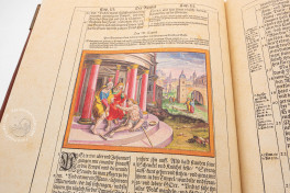Die Kupferbibel Matthäus Merians von 1630, Stuttgart, Württembergische Landesbibliothek, Facsimile edition by Mueller & Schindler