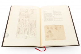 Codice Atlantico, Milan, Biblioteca Ambrosiana, Facsimile edition by Art Market