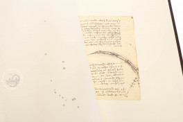 Codice sul volo degli uccelli e Codice Trivulziano, Milan, Archivio Storico Civico e Biblioteca Trivulziana del Castello Sforzesco, Cod. Triv. 2162, Facsimile edition by Art Market