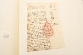 Codice sul volo degli uccelli e Codice Trivulziano, Milan, Archivio Storico Civico e Biblioteca Trivulziana del Castello Sforzesco, Cod. Triv. 2162, Facsimile edition by Art Market
