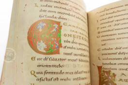 Egbert Psalter, dale del Friuli
Italy, Museo Archeologico Nazionale, MS CXXXVI − Photo 4