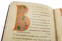 Egbert Psalter, dale del Friuli
Italy, Museo Archeologico Nazionale, MS CXXXVI − Photo 10