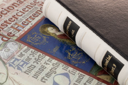 The Cistercian Devotional Book, Berlin, Staatsbibliothek Preussischer Kulturbesitz, Ms. theol. lat. quart. 9, Facsimile edition by Millennium Liber