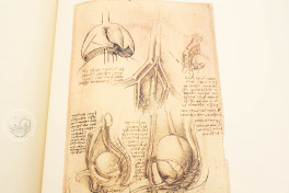 Leonardo da Vinci. Quaderni d'Anatomia, Windsor, Royal Library at Windsor Castle − Photo 3