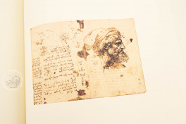 Leonardo da Vinci. Quaderni d'Anatomia, Windsor, Royal Library at Windsor Castle − Photo 8