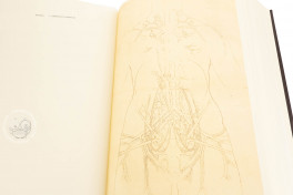 Leonardo da Vinci. Quaderni d'Anatomia, Windsor, Royal Library at Windsor Castle − Photo 14