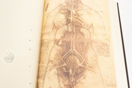 Leonardo da Vinci. Quaderni d'Anatomia, Windsor, Royal Library at Windsor Castle − Photo 17
