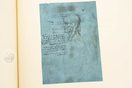Leonardo da Vinci. Quaderni d'Anatomia, Windsor, Royal Library at Windsor Castle − Photo 18