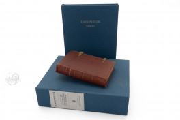 Der Liber Precum (Standard Edition), St. Petersburg, National Library of Russia, MS Lat. O.v.I.206 − Photo 1