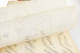 Dantes Divina Commedia mit den Illustrationen von Sandro Bottice, Vatican City, Biblioteca Apostolica Vaticana, MS Reg. Lat. 1896
Berlin, Kupferstichkabinett, Facsimile Edition by Belser Verlag