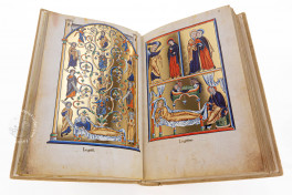 Ingeborg Psalter, Chantilly, Bibliothèque et archives du château, MS 9 (olim 1695), Facsimile Edition by Ars Millenii