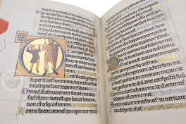 Ingeborg Psalter, Chantilly, Bibliothèque et archives du château, MS 9 (olim 1695), Facsimile Edition by Ars Millenii