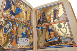 Ingeborg Psalter, Chantilly, Bibliothèque et archives du château, MS 9 (olim 1695), Facsimile Edition by Ars Millenii