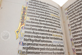 Ingeborg Psalter, Chantilly, Bibliothèque et archives du château, MS 9 (olim 1695), Facsimile Edition by Ars Millenii