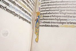 Ingeborg Psalter, Chantilly, Bibliothèque et archives du château, MS 9 (olim 1695), Facsimile Edition by Ars Millenii