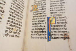 Ingeborg Psalter, Chantilly, Bibliothèque et archives du château, MS 9 (olim 1695), Facsimile Edition by Ars Millenii